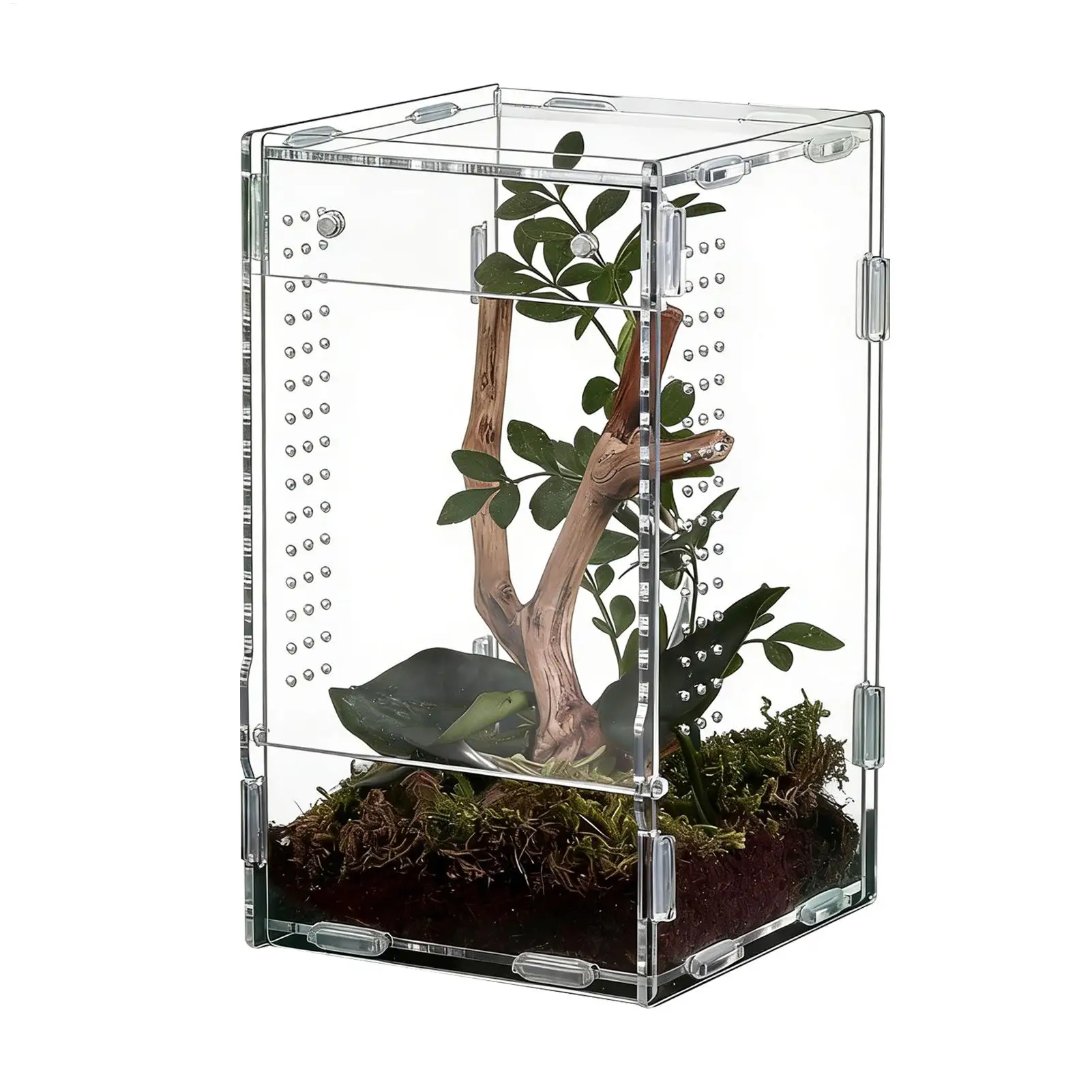 Reptile Enclosure Front Opening Escape Proof Habitat Acrylic Jumping Spider for Observation Home 1005012164773409