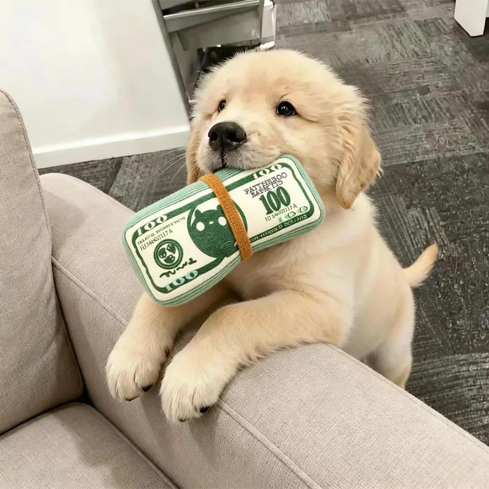 Dog Toy Money Shape Bite Resistant Indestructible Squeaky Sound Interactive Self-Play for Puppy Cat 1005012166375381