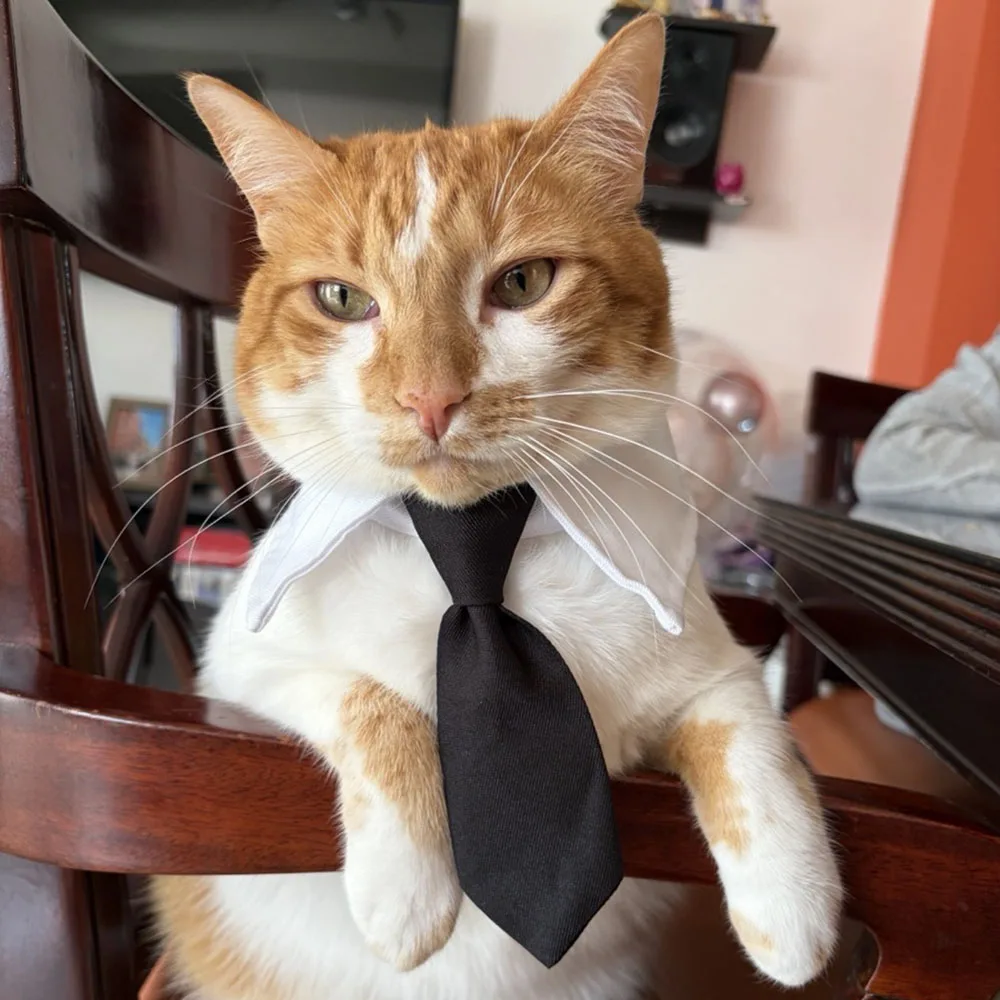 Cat Dog Tie with Collar Adjustable Puppy Pets Formal Necktie Collars Cat Dogs Bow Ties for Small 1005012169219492