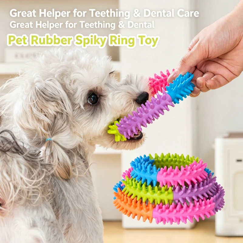 Pet Supply Toy Dog Accessories Cute Cat Toys Training Flying Discs Pet Ring Spiky Circle Ring Dog 1005012170040689