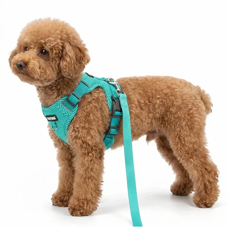 Reflective Breathable Dog Harness and Leash Set Pet Anti-Loose Chest Strap Dopamine Pet Supplies 1005012171276637