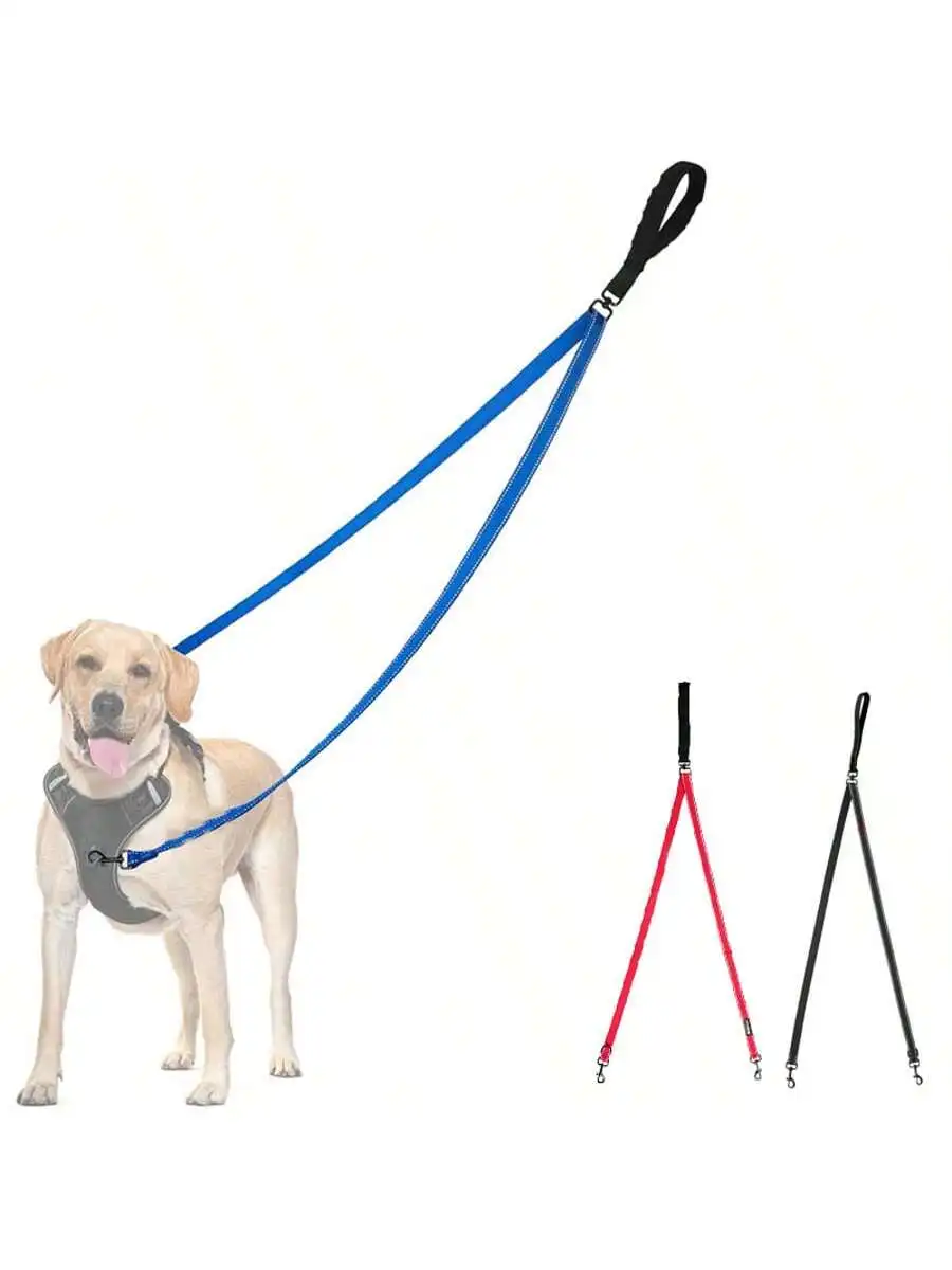Double Dog Leash 1005012175098633