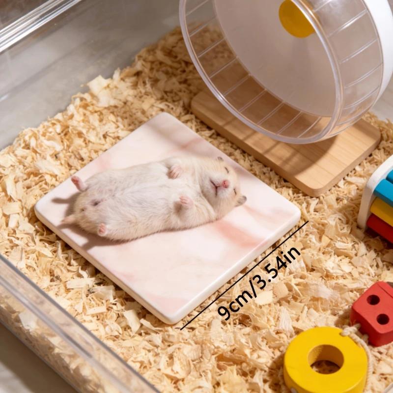Hamster-Specific Cooling Pad Chew-Proof and Tip-Resistant Mat for Hamsters Small Pet Easy to Clean 1005012175848633