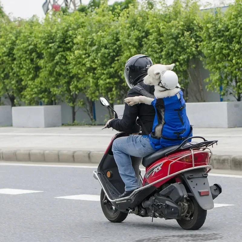 View 6