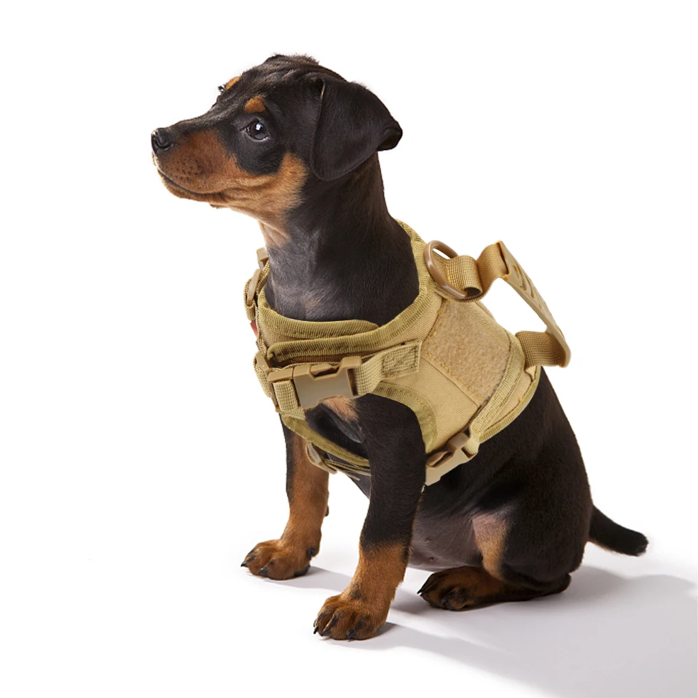Tactical Puppy Harness Leash for Small Dogs Cats Adjustable Kitten Vest for Military Service Dog 1005012188046335
