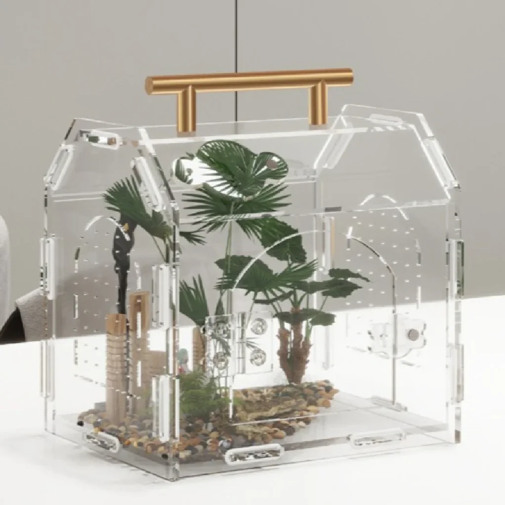 Reptile Terrarium Acrylic Portable Portable Small Reptile Breeding Box Spider Tortoise Snail 1005012198920606