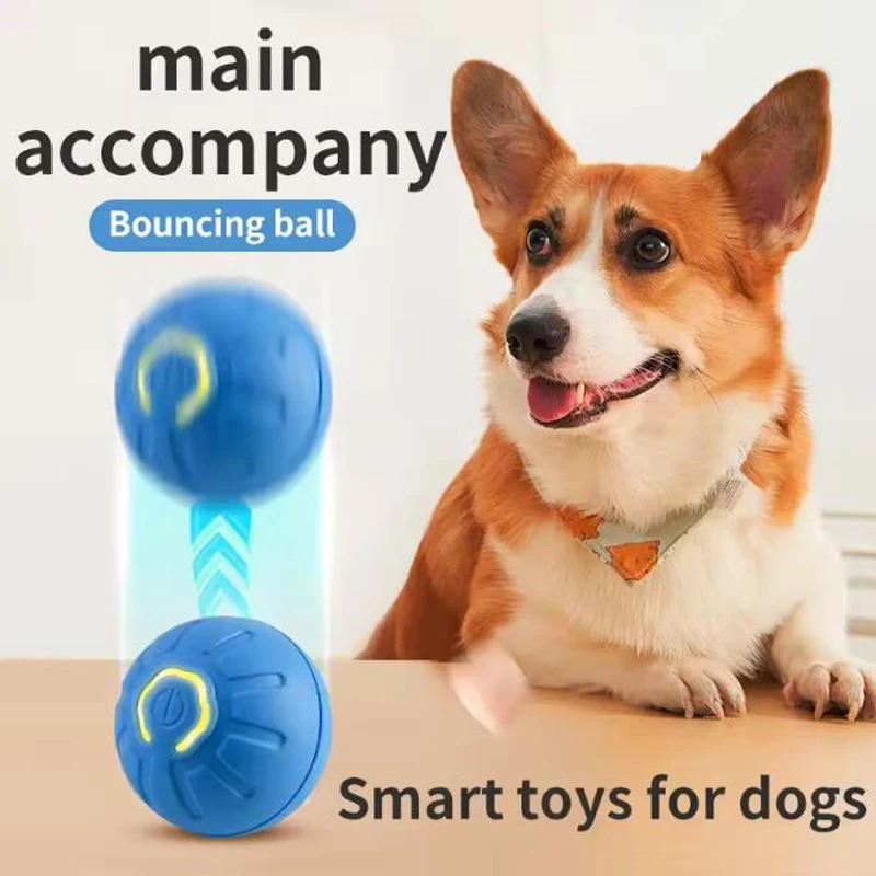 View 3
