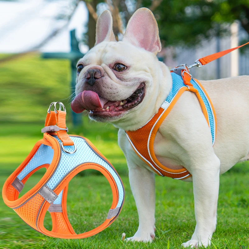 New Chest Strap for Cats and Dogs Reflective and Breathable Adjustable Pet Harness Vest Chest Rope 1005012224488351