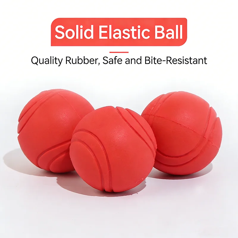 Indestructible Dog Chew Toy Solid Rubber Bouncy Ball for Teeth Grinding Interactive Outdoor 1005012225687913