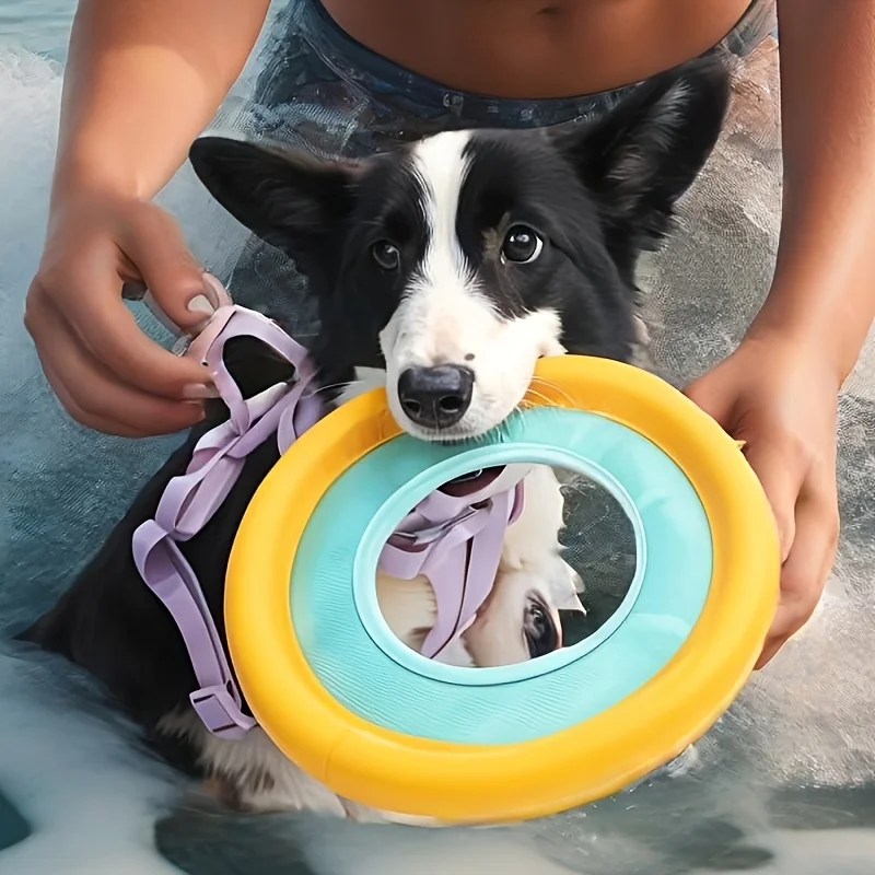 Floating Dog Frisbee, Outdoor Interactive Training Toy for Medium Dogs, Battery Free 1005012226035497