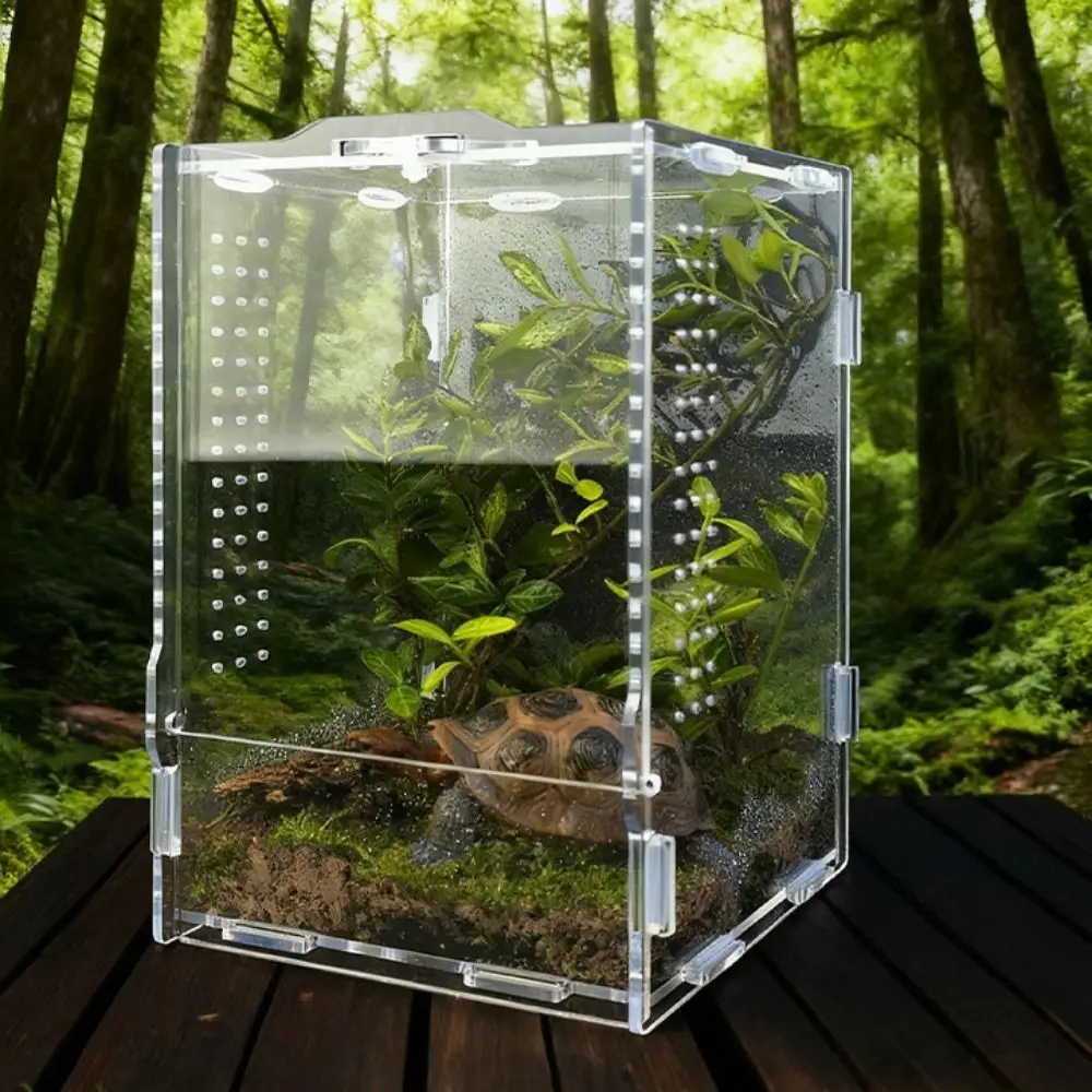 Acrylic Jumping Spider Enclosure Buckle Lock Escape Proof Spider House Ventilated Transparent 1005012233729482