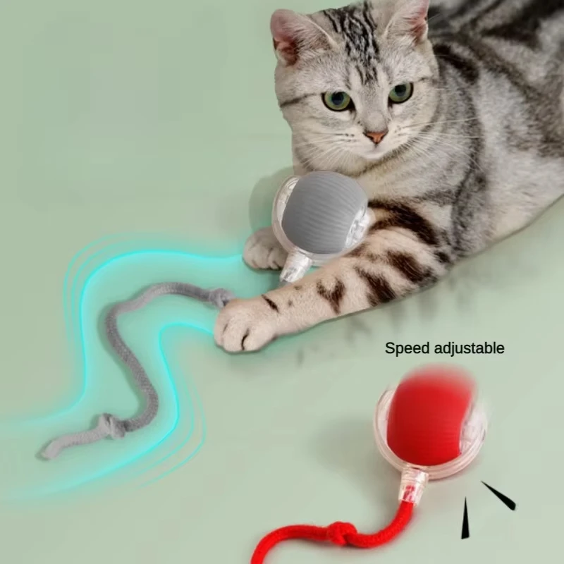 Dog Interactive Ball Toy Automatic Rolling Dog Ball Rechargeable Smart Cat Interactive Toy 1005012247175712