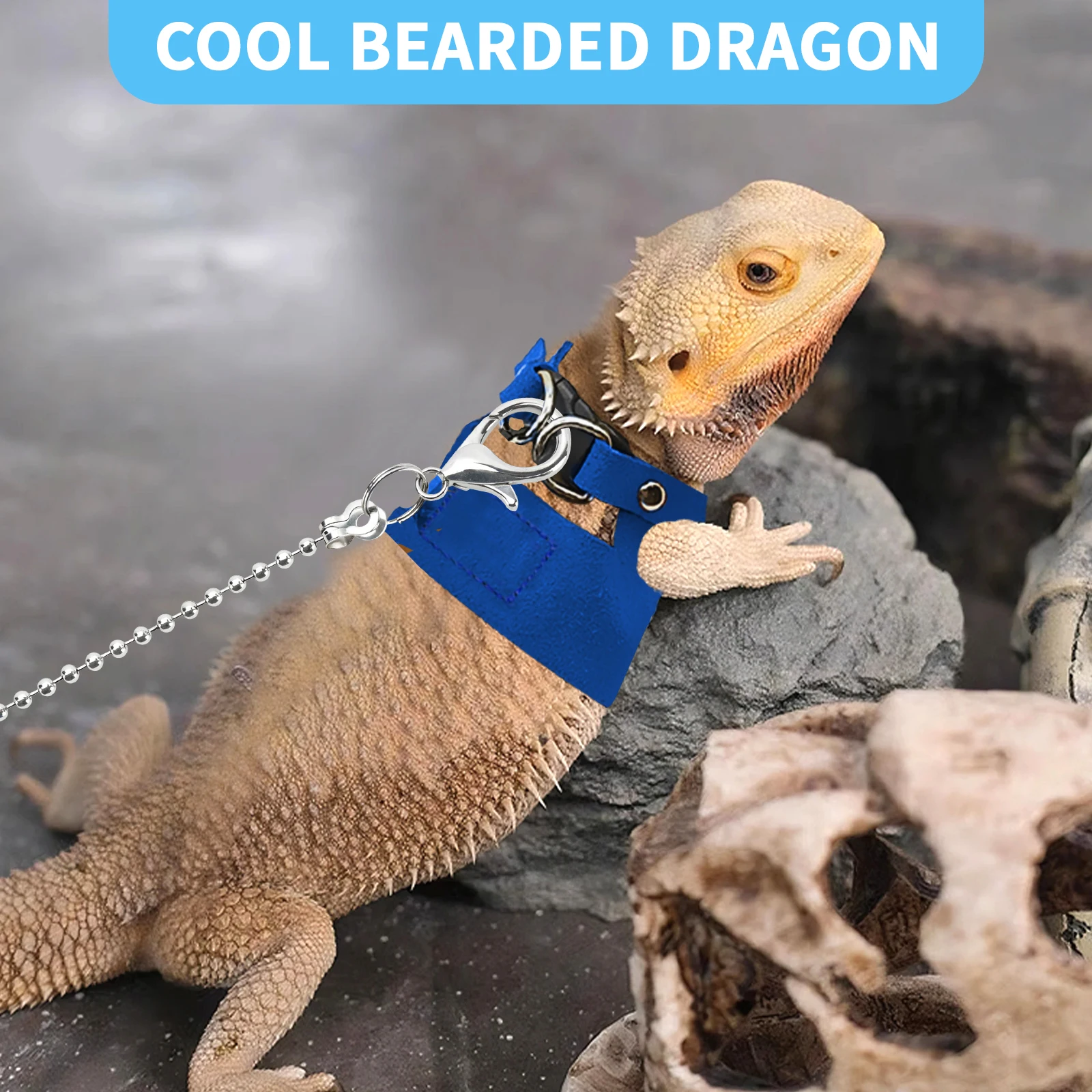 5FT Leash with 3 Adjustable Soft Harnesses for Lizards Squirrels Reptiles 1005012253023683