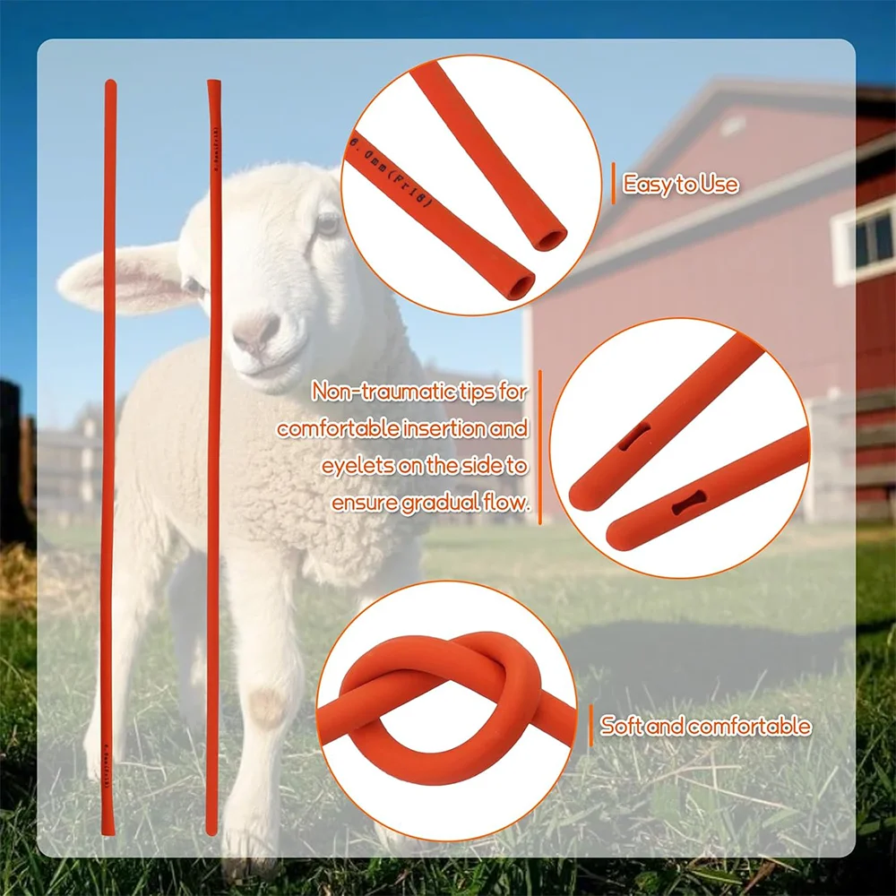 View 4