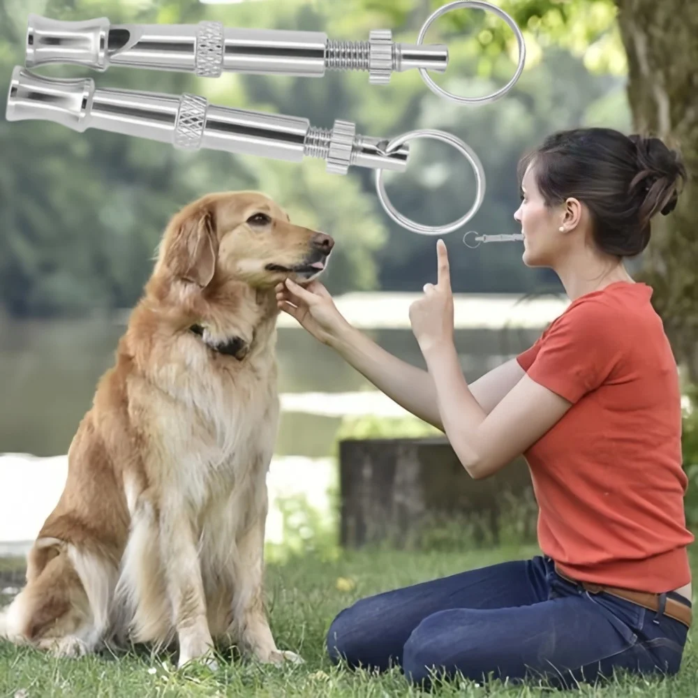 Metal Dog Whistle to Stop Barking Adjustable Sound Pitch with Keychain Professional for Recall Cat 1005012260929033
