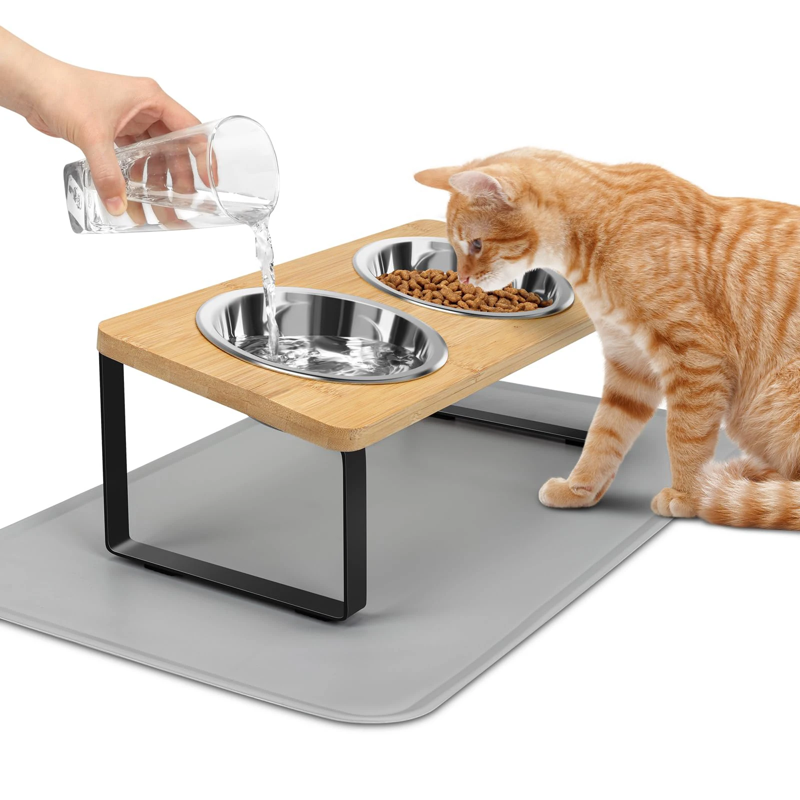 Elevated Cat Bowls with Food Mat 15° Tilted Stand Raised Dishes for and Water Feeder 2 Stainless 1005012262485980