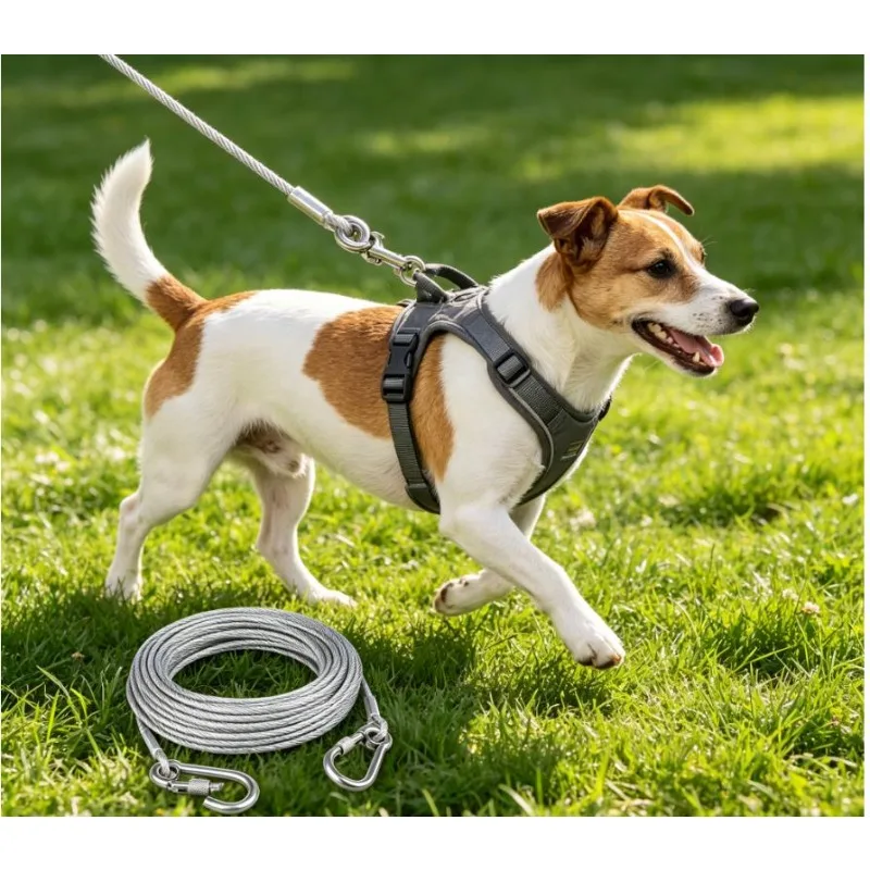 Double-Headed Dog Tie Out Cable Leash with Metal Buckle Anti-Rust Steel Wire Outdoor Training 1005012266656455