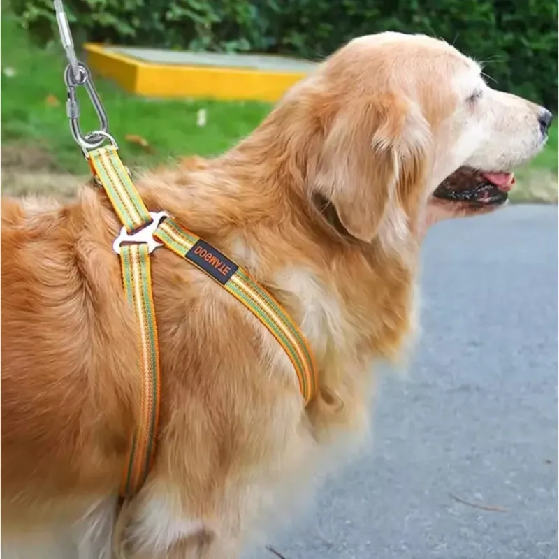 View 3