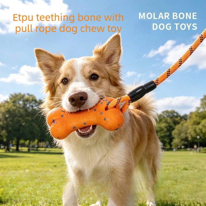 Dog Chew Toy ETPU Indestructible Bone Tug Rope for Large Dogs 1005012275708686