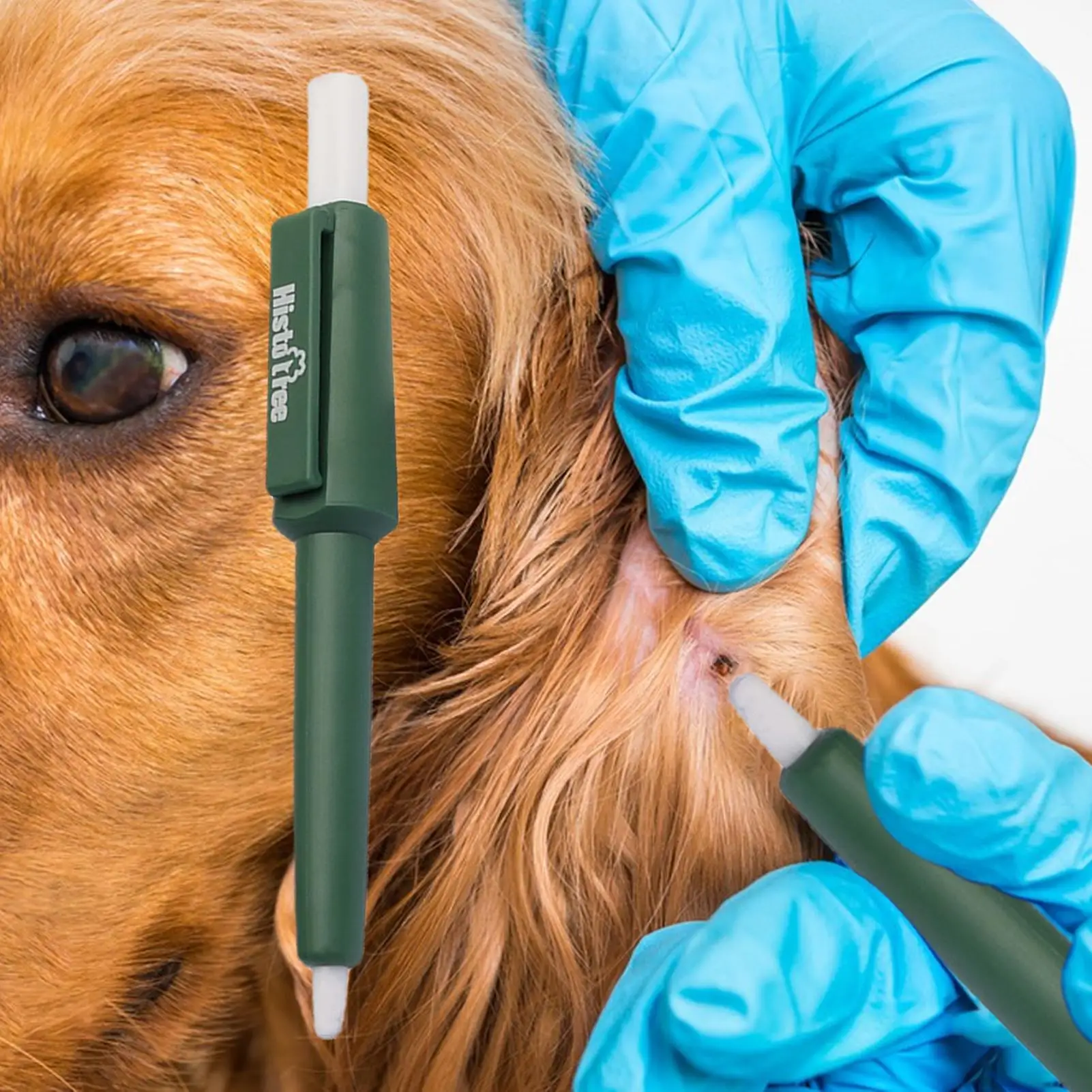 Pet Tick Remover Pen Anti Ticks Fleas Tweezers Hook Picker Flea Scratching Compact Portable 1005012285477172
