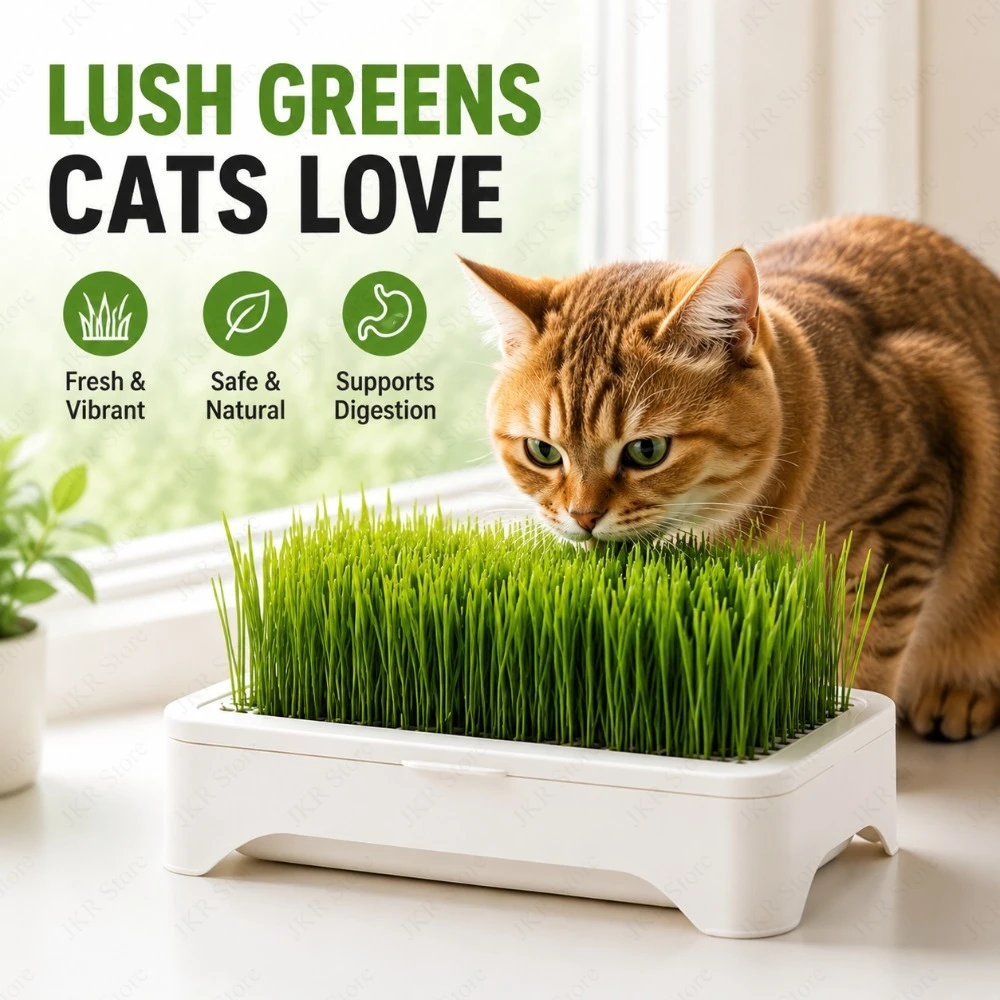 Pet Cat Grass Planting Pot Soilless Hydroponic Wheat Seedling Planter Kit for Kitten Indoor 1005012286354935