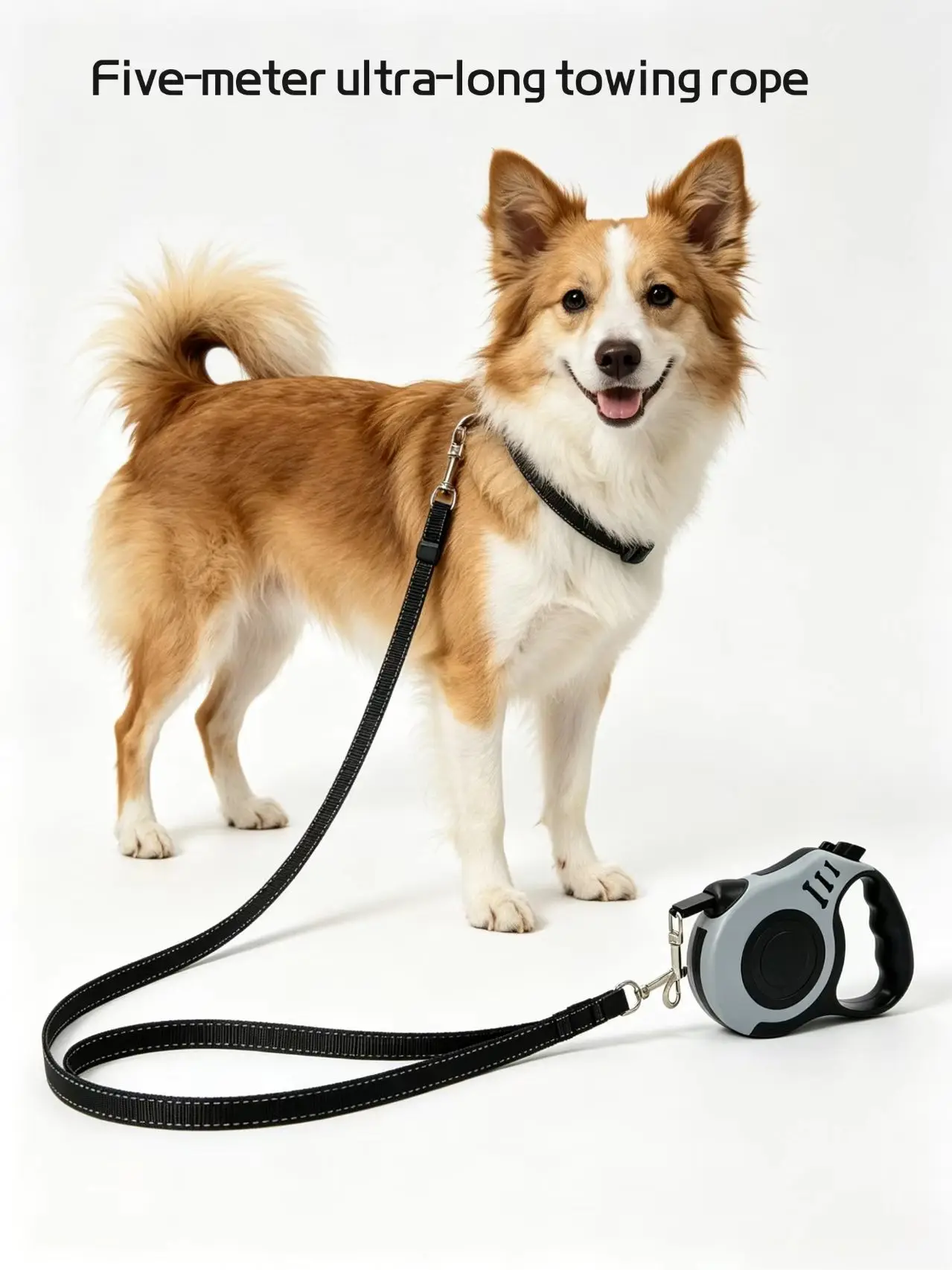 Pet Leash 1005012288634890