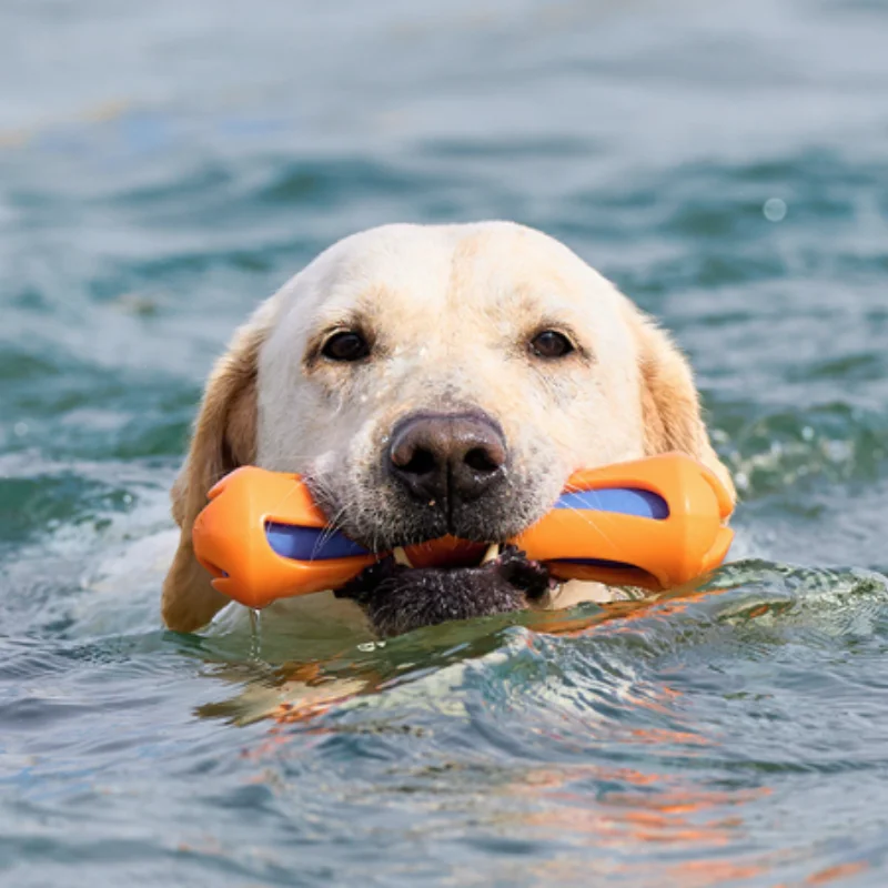 Dog Water-Lok Stick Interactive Swimming Toy Bite Resistant Chewable Floats Pet Aquatic Activity 1005012290009704