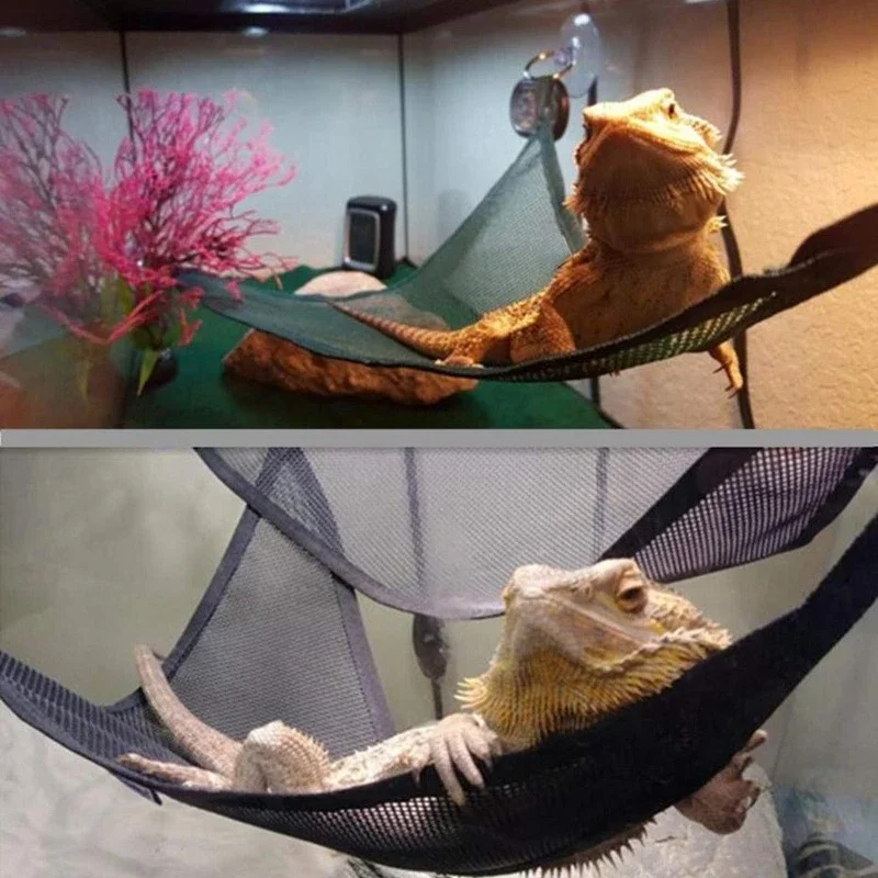 Reptile Hammock Lounger Ladder Accessories Set for Large Small Bearded Dragons Anole Geckos Lizards 1005012292537494