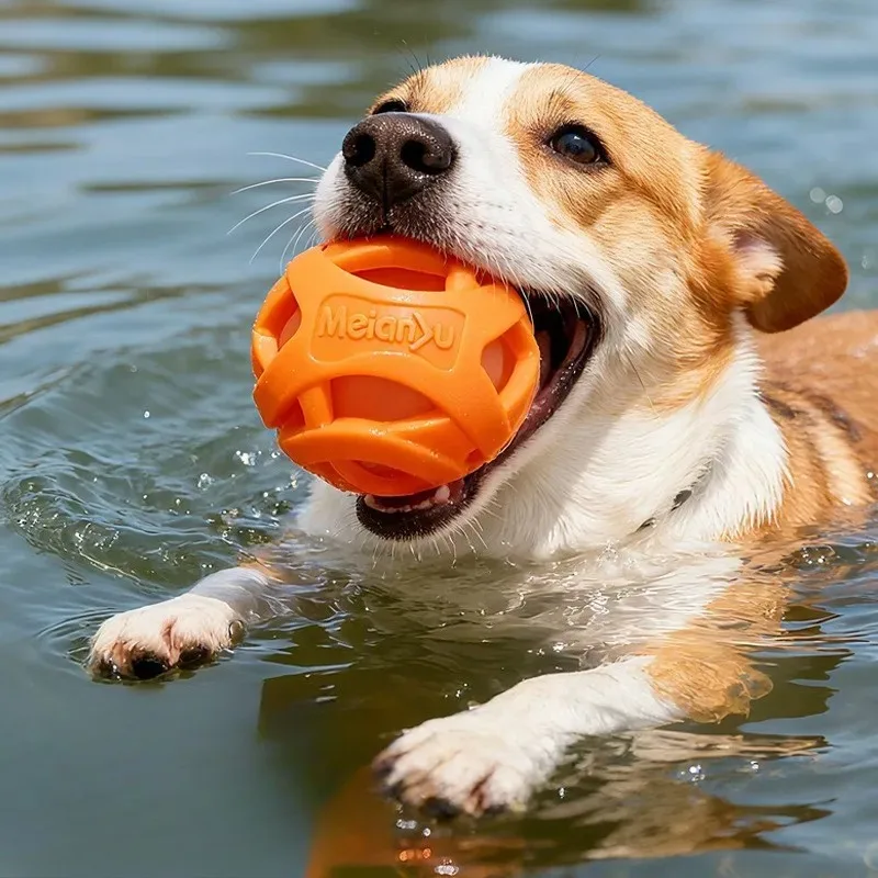 Durable Hollow Elastic Pet Dog Toys Ball Puppy Chew Toys, Teeth Cleaning Molar Toy 1005012307239139