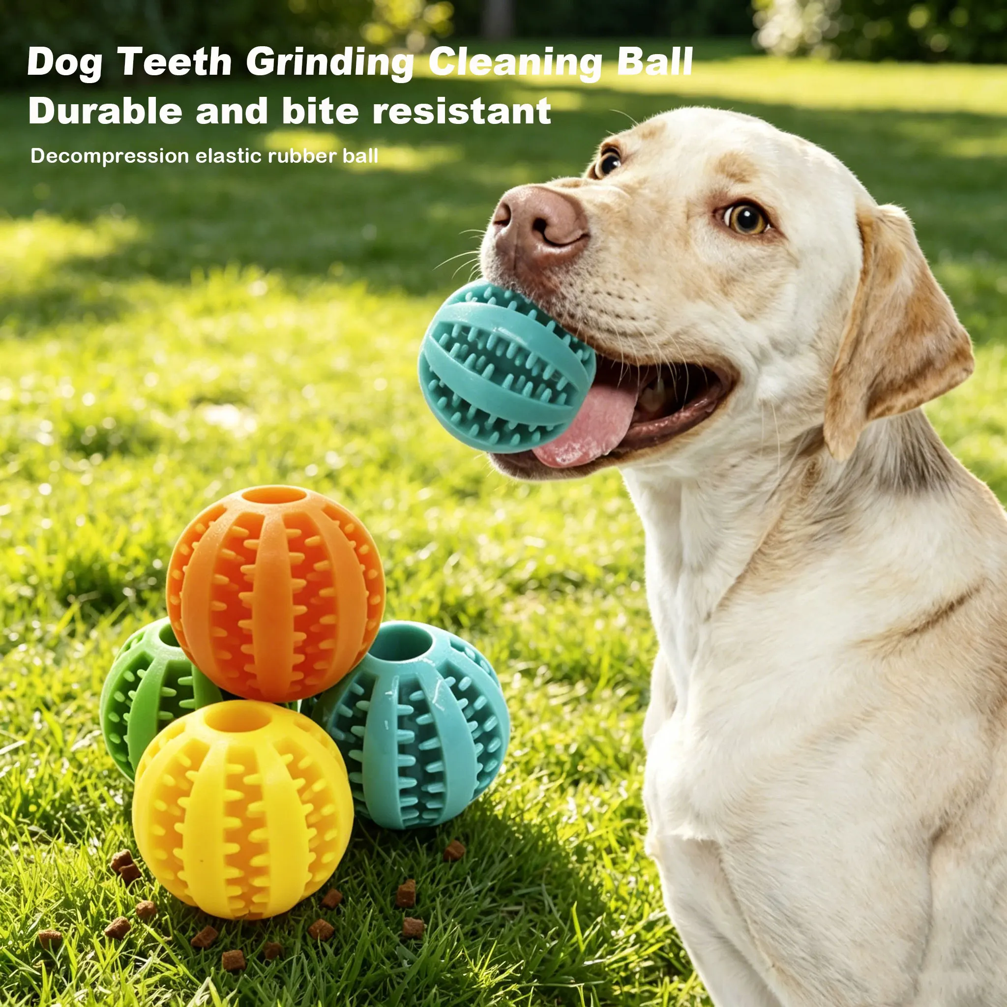Dog Toy Ball, Nontoxic Bite Resistant Toy Ball for Pet Dogs Puppy Cat 1005012310321915