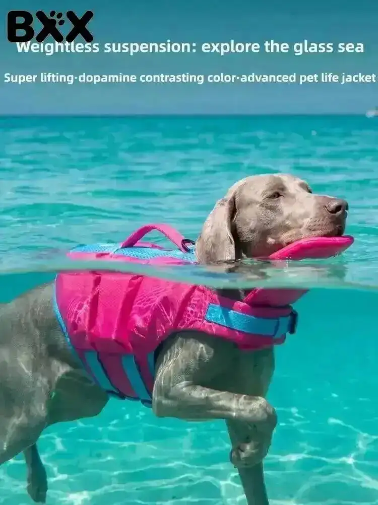 High Buoyancy Dog Life Jacket Adjustable Safety Flotation Vest for Small Medium Large Dogs Swimming 1005012312124085