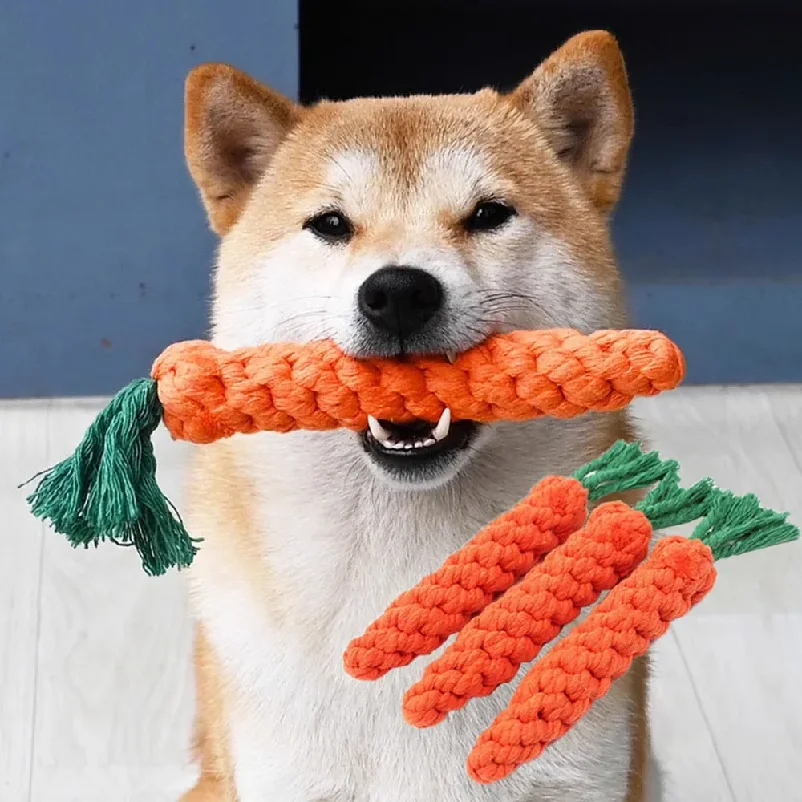 Carrot Dog Bite Rope Pet Toys Safe Durable Braided Chew Resistant Puppy Molar Cleaning Teeth (1Pcs) 1005012318480086
