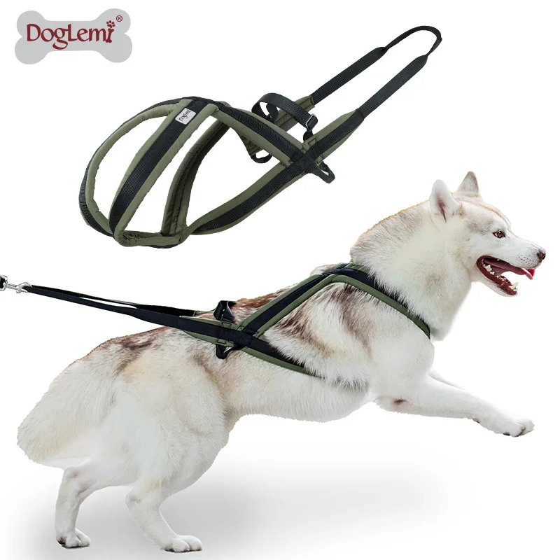 Outdoor Dog Harness and Leash Set for Medium and Large Dogs 1005012320427535