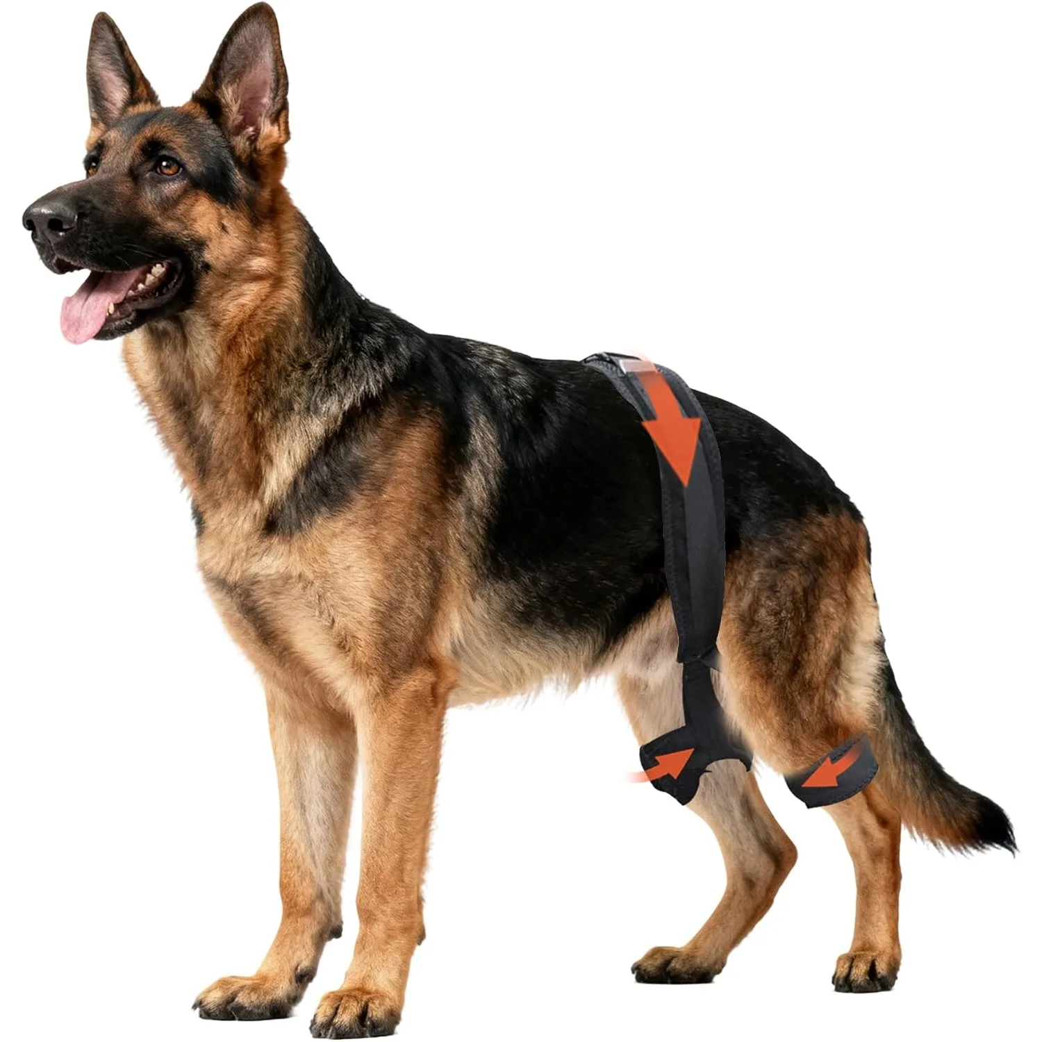 Dog Hip Brace for Dysplasia, Adjustable Dog Hips Support with Compression, stabilizes Joints 1005012321067798