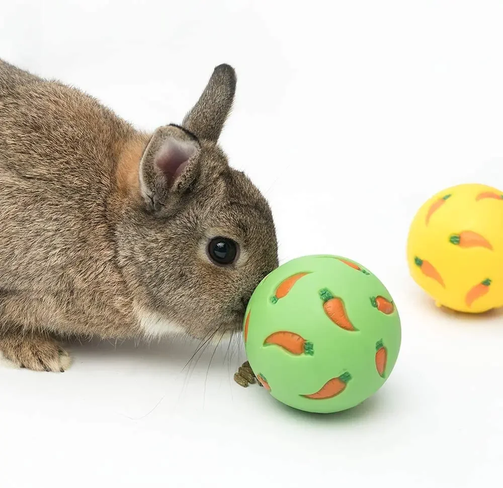 Pet Food Dispenser for Rabbits Carrot Interactive Bunny Toy Snack Ball Bite Resistant Feeding Toys 1005012324930490