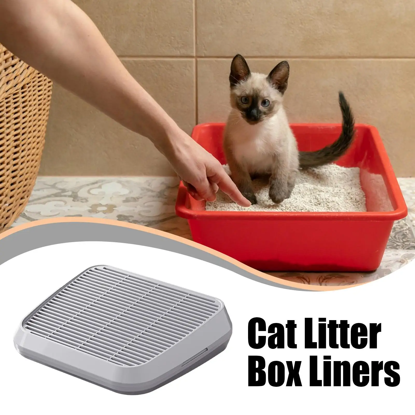 View 2