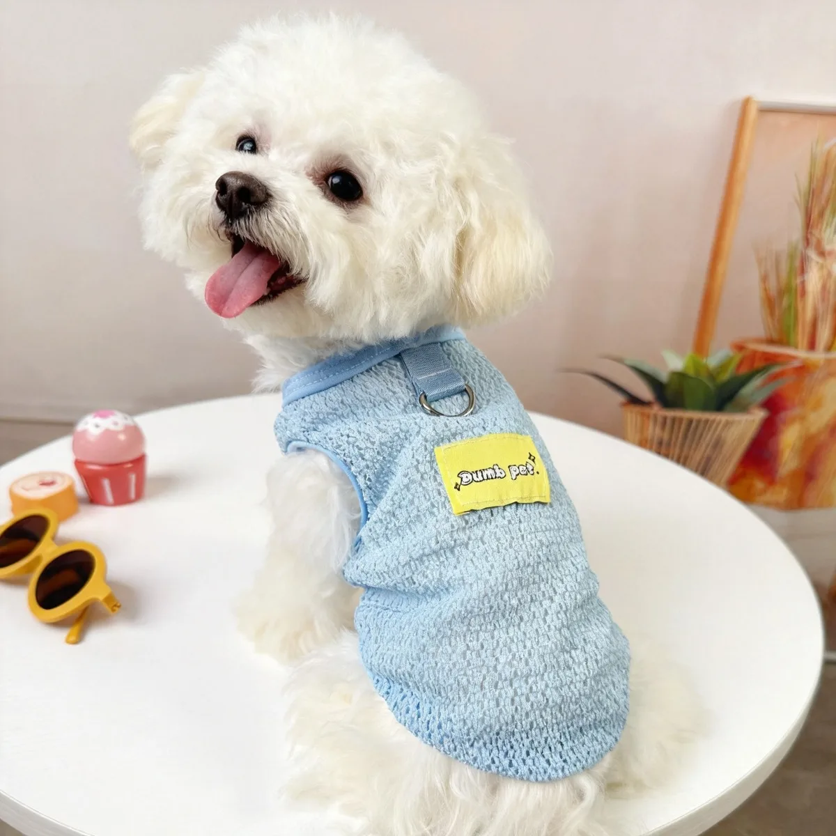 Lightweight Breathable Open-Back Vests for Pets, Dogs, and Cats in Spring and Summer 1005012335249857