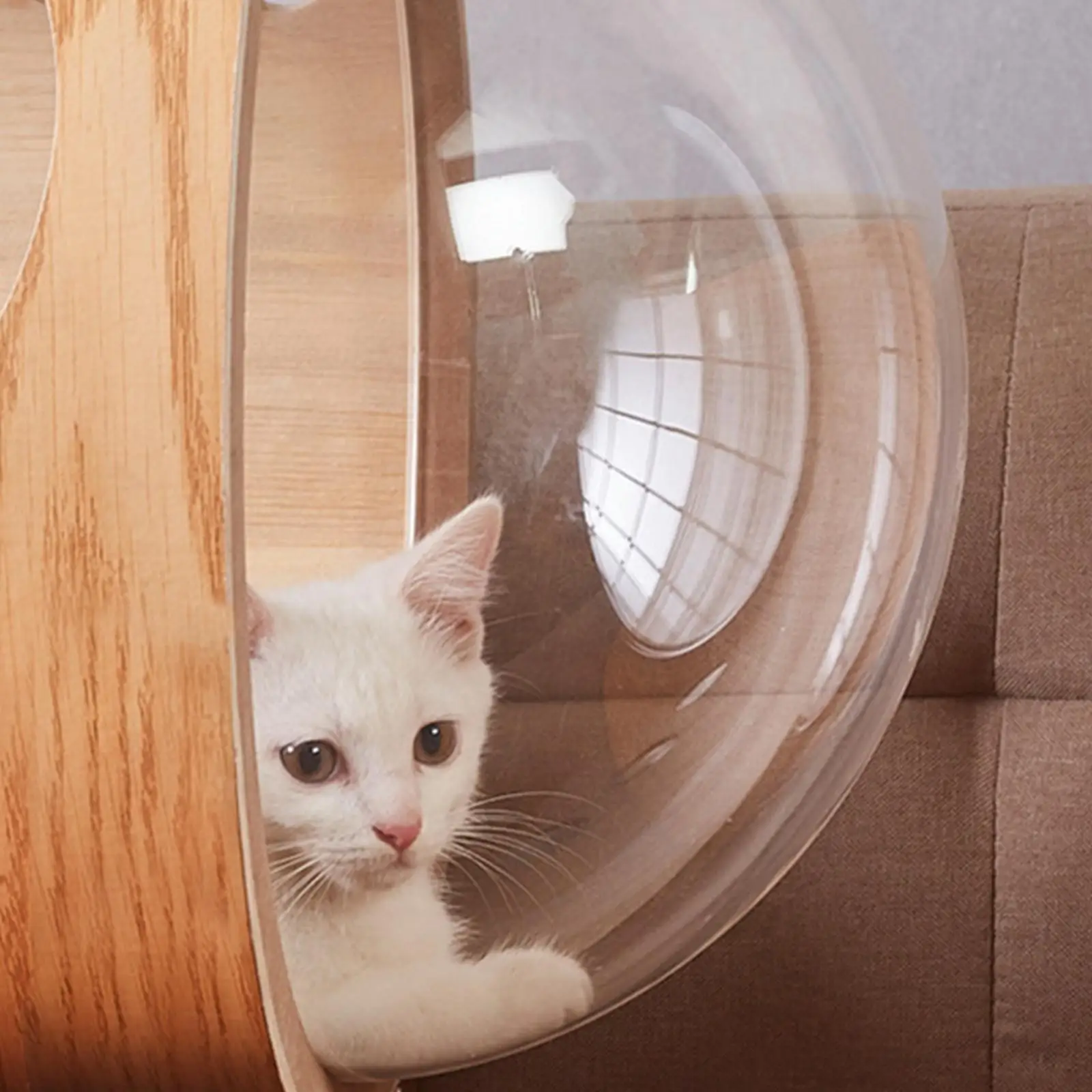 Space Clear Capsule Bed Furniture for Cat DIY Accessories Hammock 1005012335256553