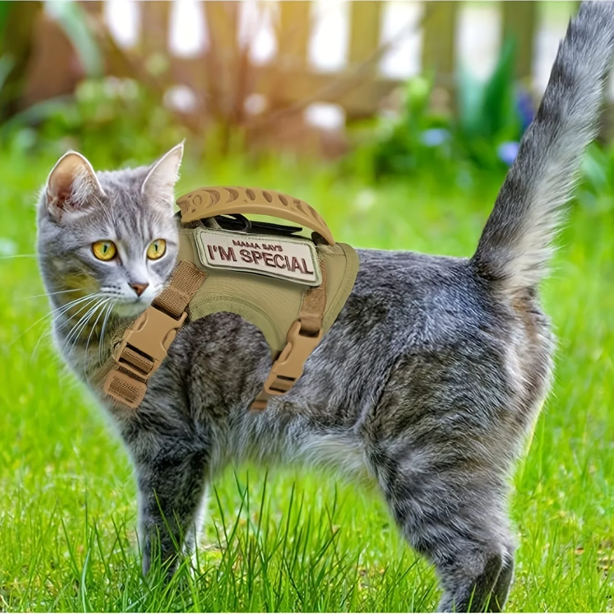Khaki Tactical Cat Chest Harness Vest Type Lead Rope Anti-Break Adjustable Walking Cat Leash Dog 1005012336900424