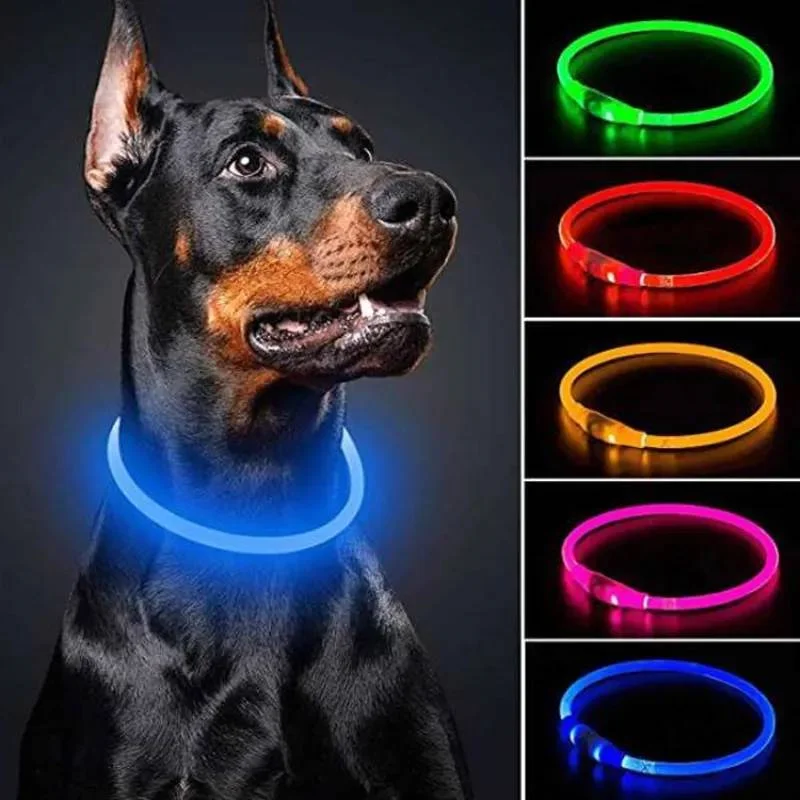 Modes Usb Dog Luminous Charge Collar Led Cat Dogs Collars Detachable Night Led Glow Dog Loss 1005012338332325