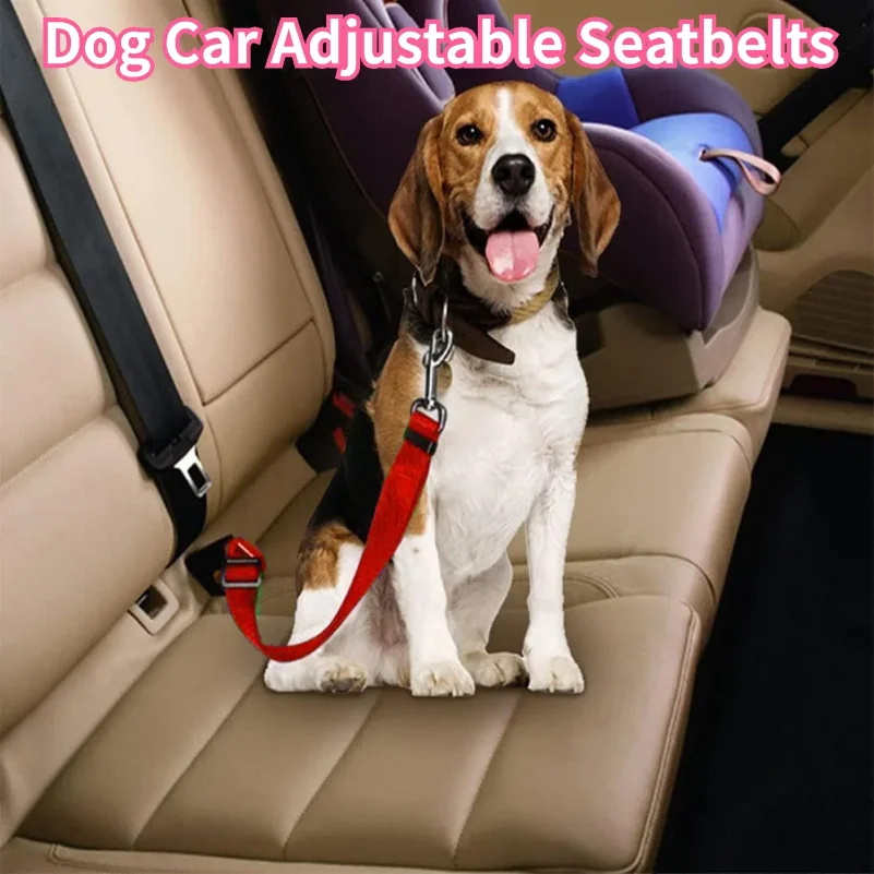 Dog Seat Belt 1005012342905591