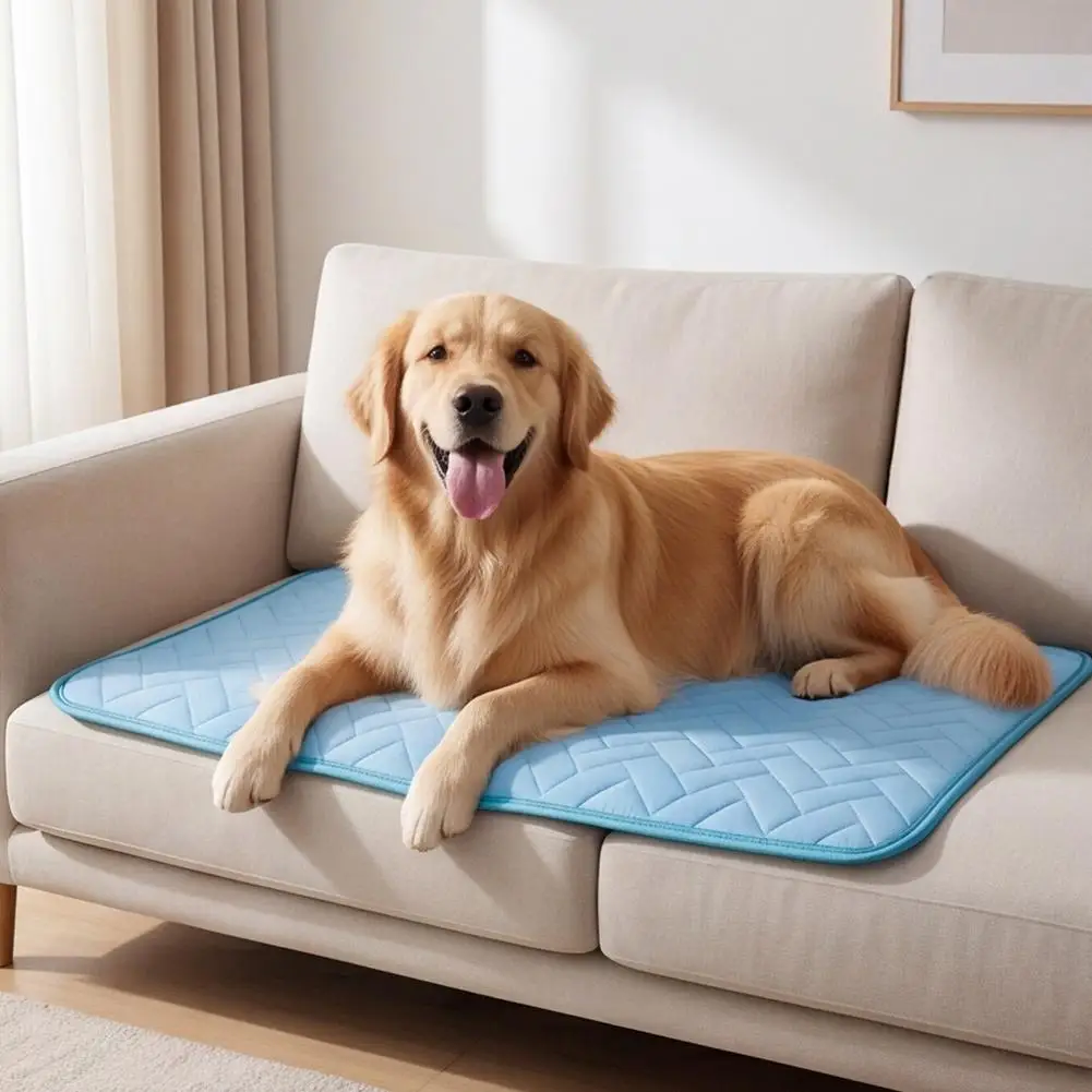 View 5