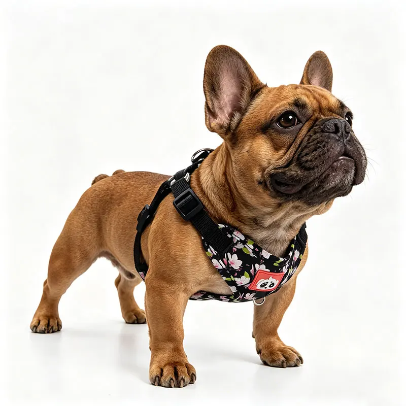 Cute Floral Dog Harness, Adjustable Pet Breathable Harness, Suitable for French Bulldogs 1005012360649043