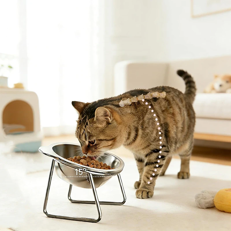 Elevated Cat Bowls Extra Raised Stainless Steel Cat Food Bowls with Anti-Slip Metal Stand Friendly 1005012370043352