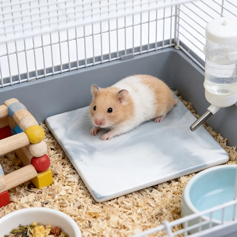 Hamster-Specific Cooling Pad Chew-Proof and Tip-Resistant Mat for Hamsters Small Pet Easy to Clean 1005012381996974