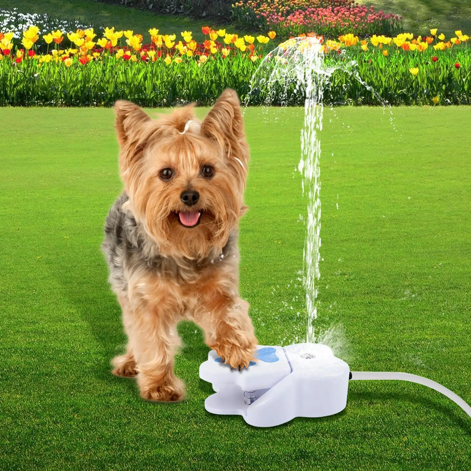 Pet Water Fountain Step on Dog Drinking Fountain Paw Activated Puppy Sprinkler Step on Pet Drinking 1005012382941564