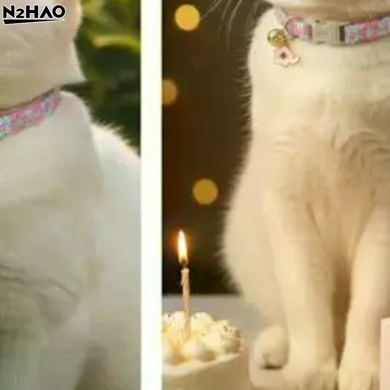 Pet Necklace Colorful Lace Flower Cat Collar Puppy Accessories Collar Bell Neck 1005012385150914