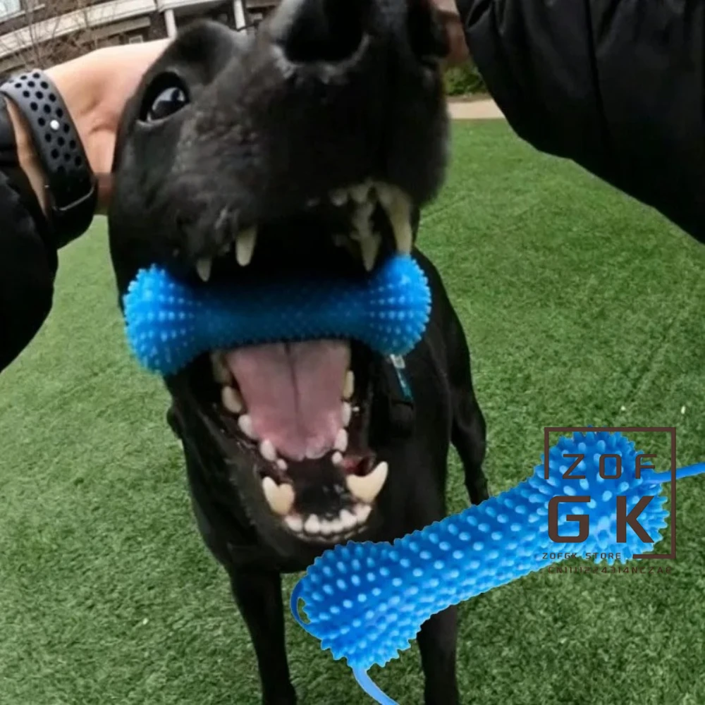 Dog Toothbrushing Toy Suction Cup Pull Rope Dental Chew Stick Rubber Teeth Cleaning Interactive 1005012392433853