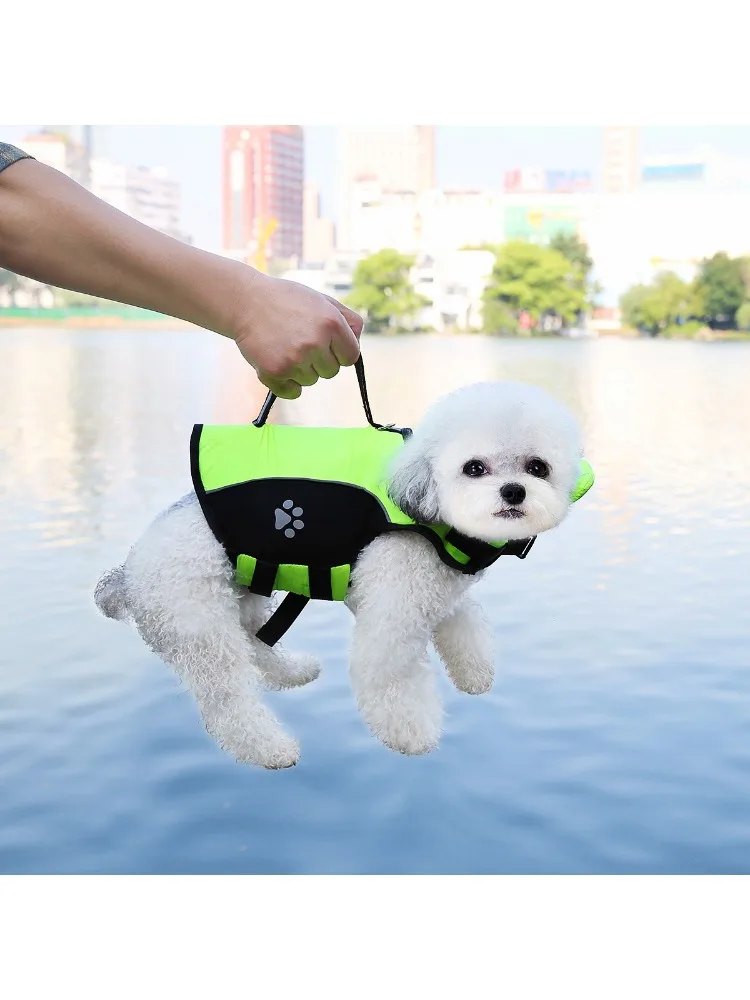 Dog Life Jacket with Leash Handle, Swimsuit for Small, Medium, and Large Dogs, Color-Block Design 1005012399478939