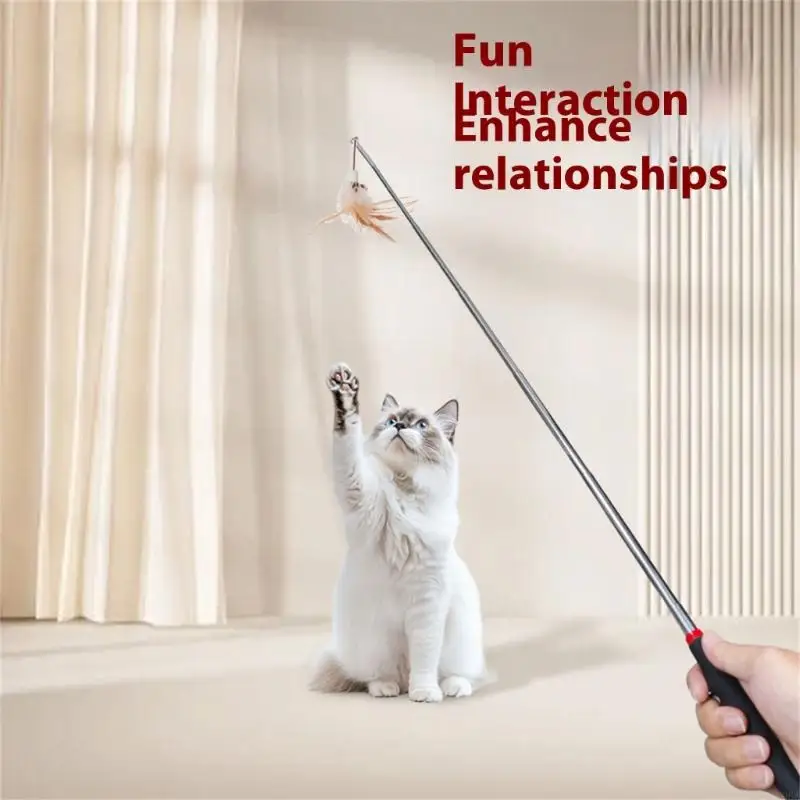 Fun Cats Teaser Toy for Indoor Play Exercise for Felines Cats Plaything 1005012400452064